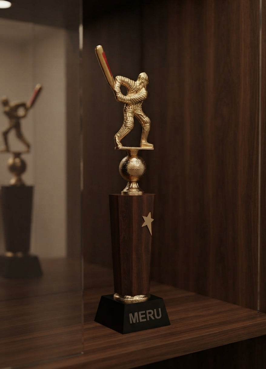 Cricket Trophy Award Metal Sports Trophies 4074 alternate view - Meru Trophy