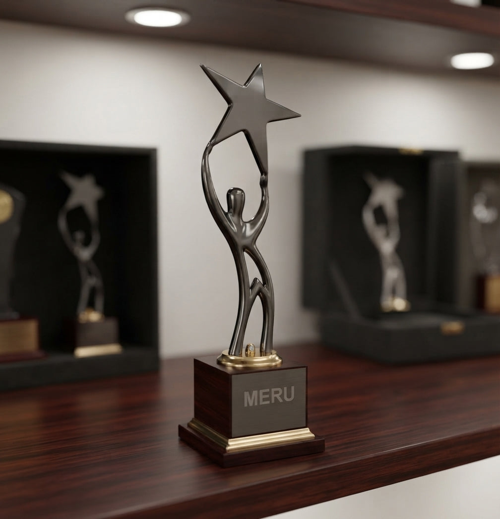 Star Achiever Trophy: Corporate Recognition Award 4192 alternate view - Meru Trophy