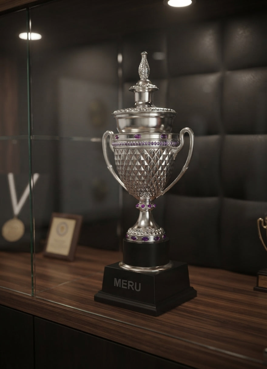 Silver Metal Trophy Award for Excellence and Achievement 311 alternate view - Meru Trophy