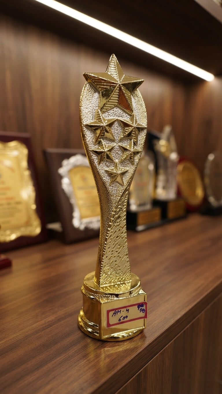 Gold Star Trophy Award - Symbol of Excellence and Recognition AM 4 alternate view - Meru Trophy
