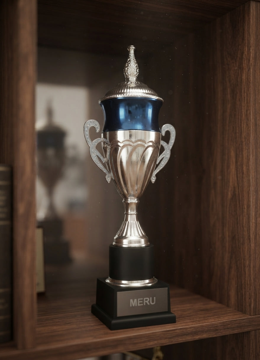 Elegant Metal Trophy Award with Custom Trophy 208 alternate view - Meru Trophy