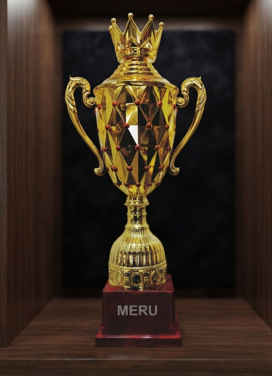 Gold Fibre Trophy Cup Award 253 alternate view - Meru Trophy