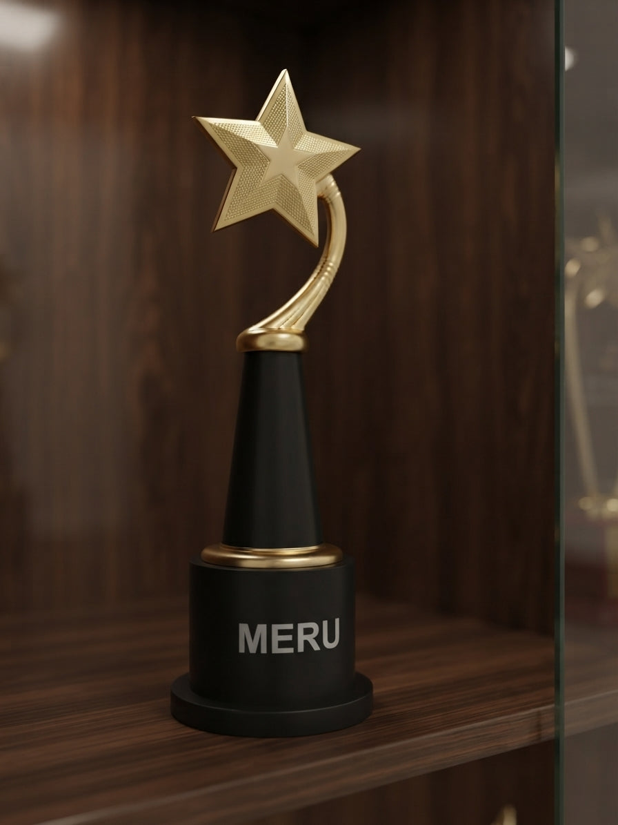 Star Trophy Award 4199 alternate view - Meru Trophy