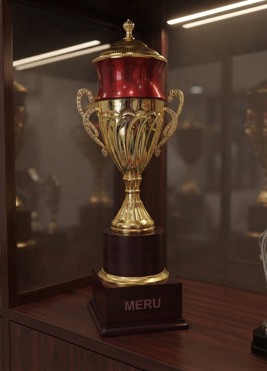 Metal Cup Trophy Award 207 alternate view - Meru Trophy