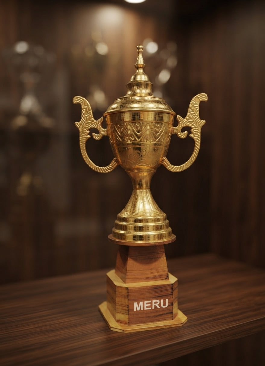 Gold Metal Award Trophy AS744 alternate view - Meru Trophy