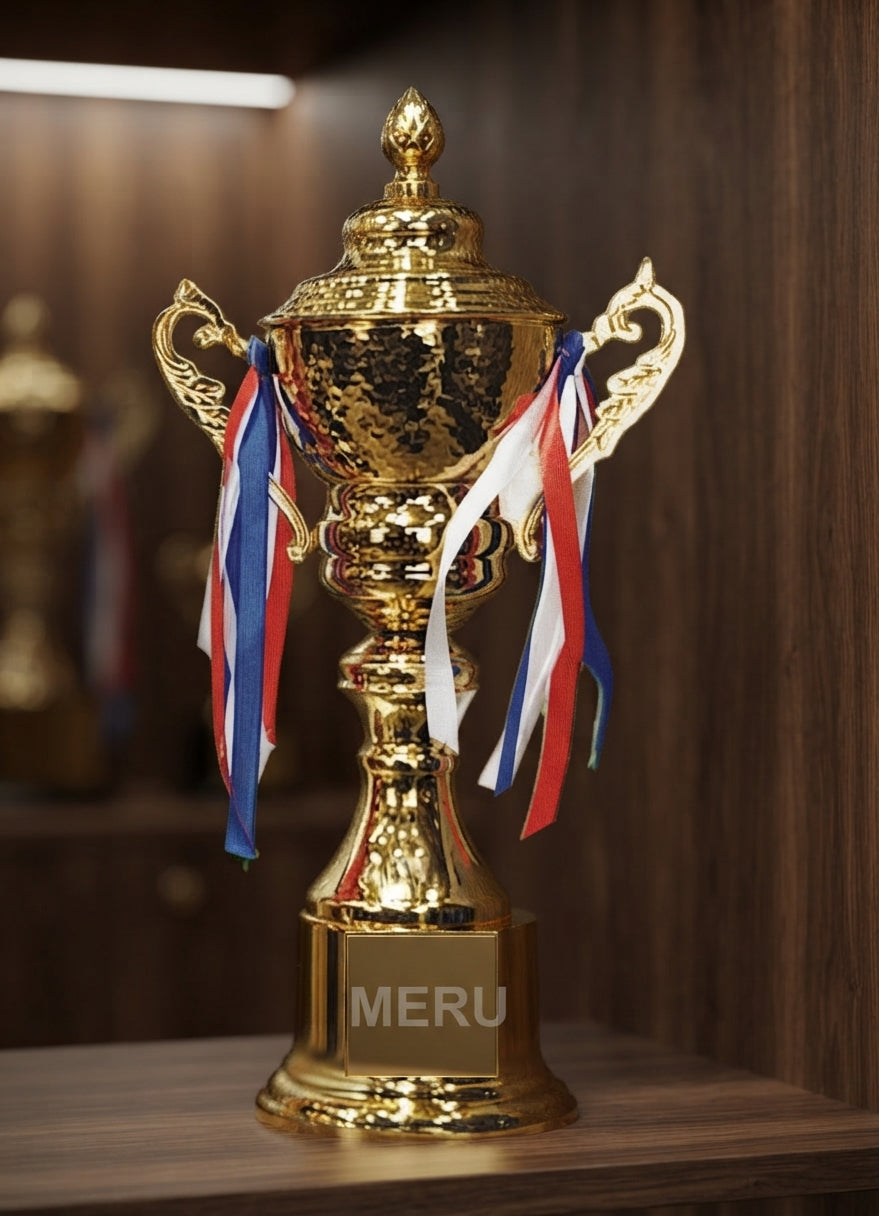 Gold Metal Award Trophy 2014 alternate view - Meru Trophy
