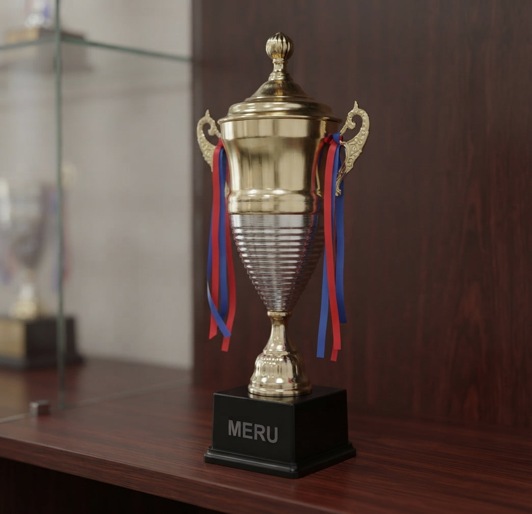 Metal Cup Trophy - Sports Awards 4033 alternate view - Meru Trophy