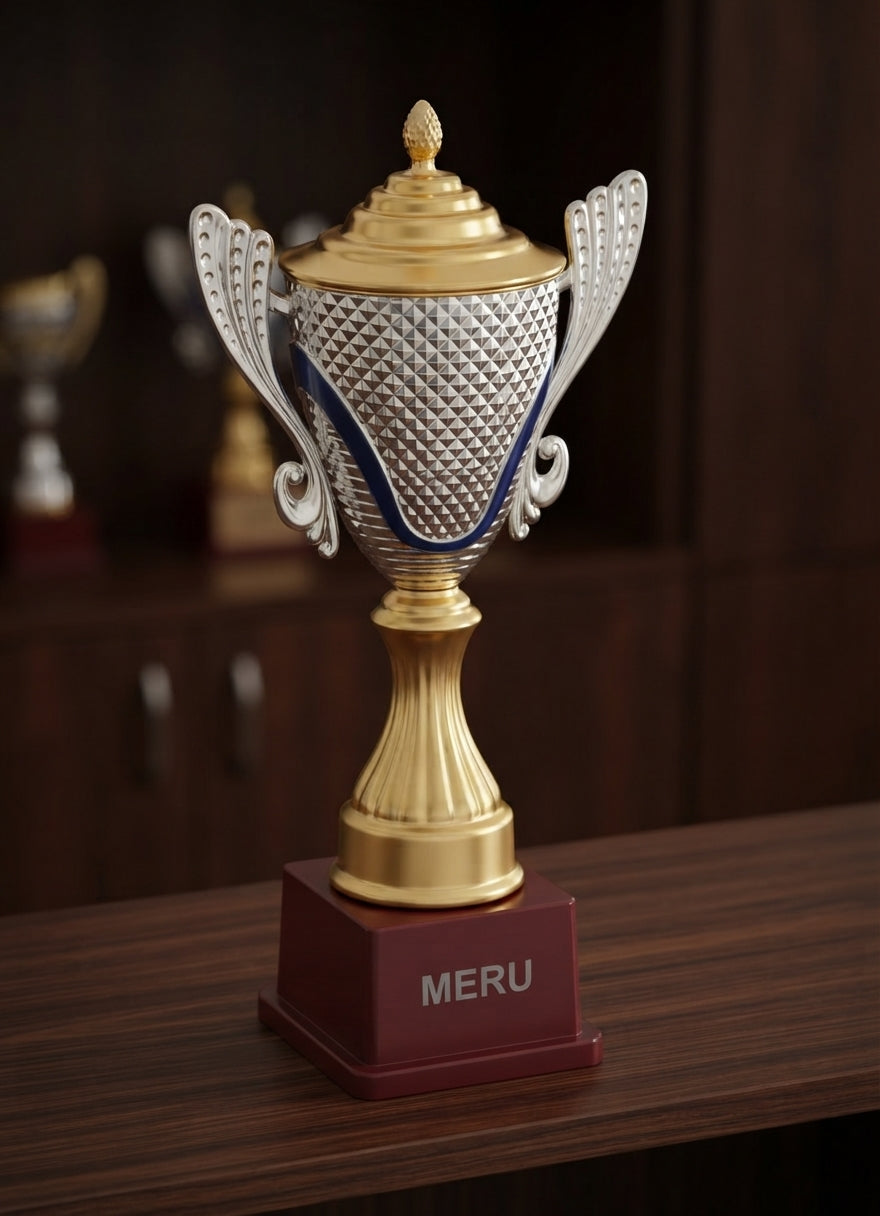 Silver and Gold Achievement Trophy 196 alternate view - Meru Trophy