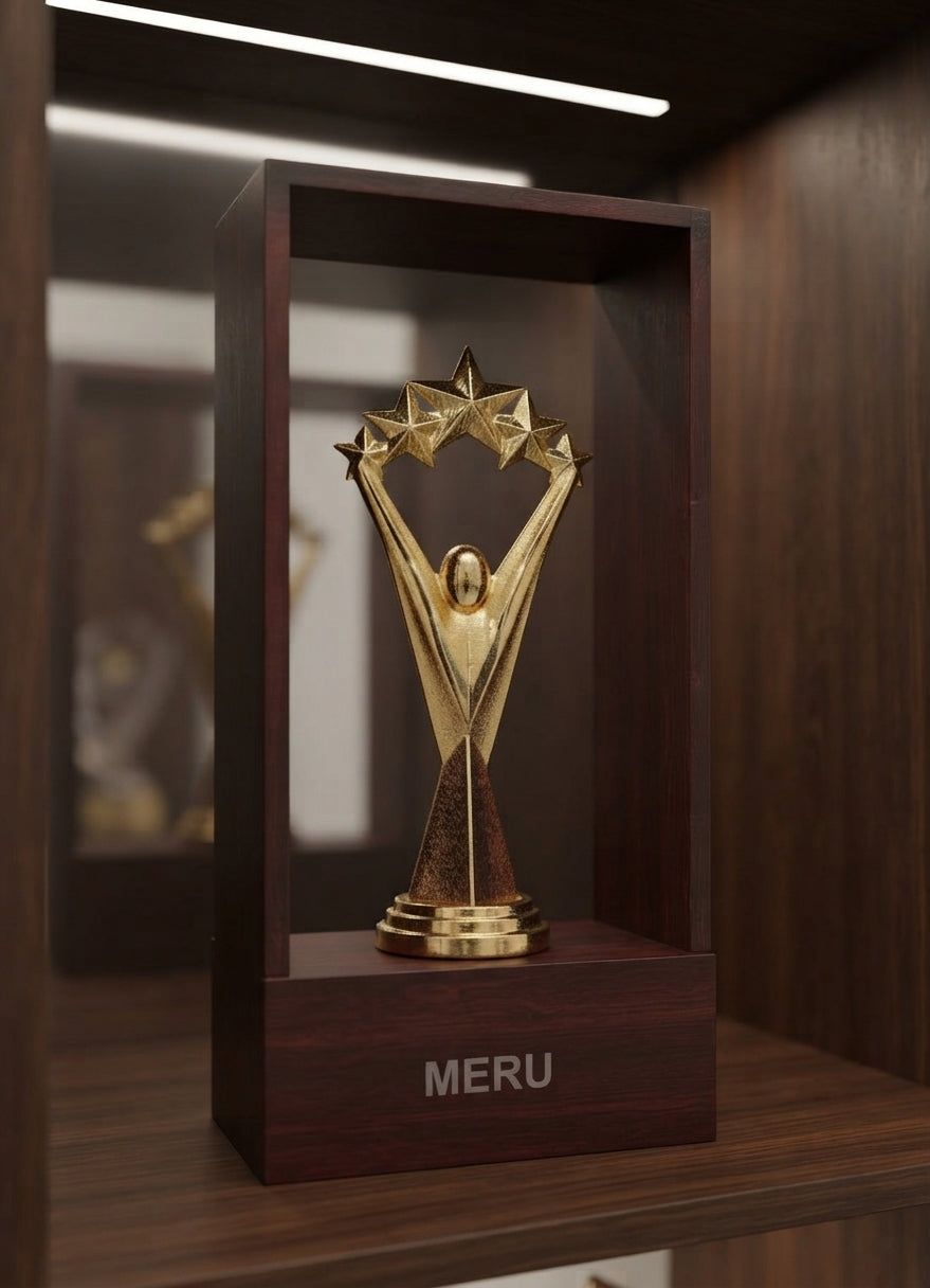 Star Achievement Trophy - Custom Trophy 7347 alternate view - Meru Trophy