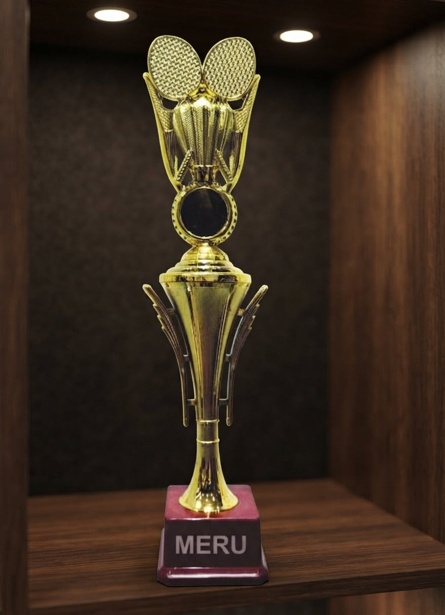 Gold Fibre Trophy Award HV 558 alternate view - Meru Trophy
