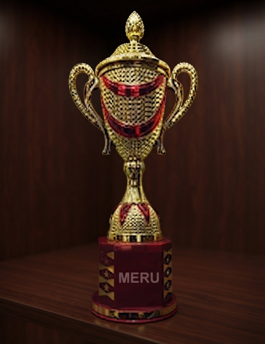 Elegant Gold and Red Cup Trophy 861 alternate view - Meru Trophy