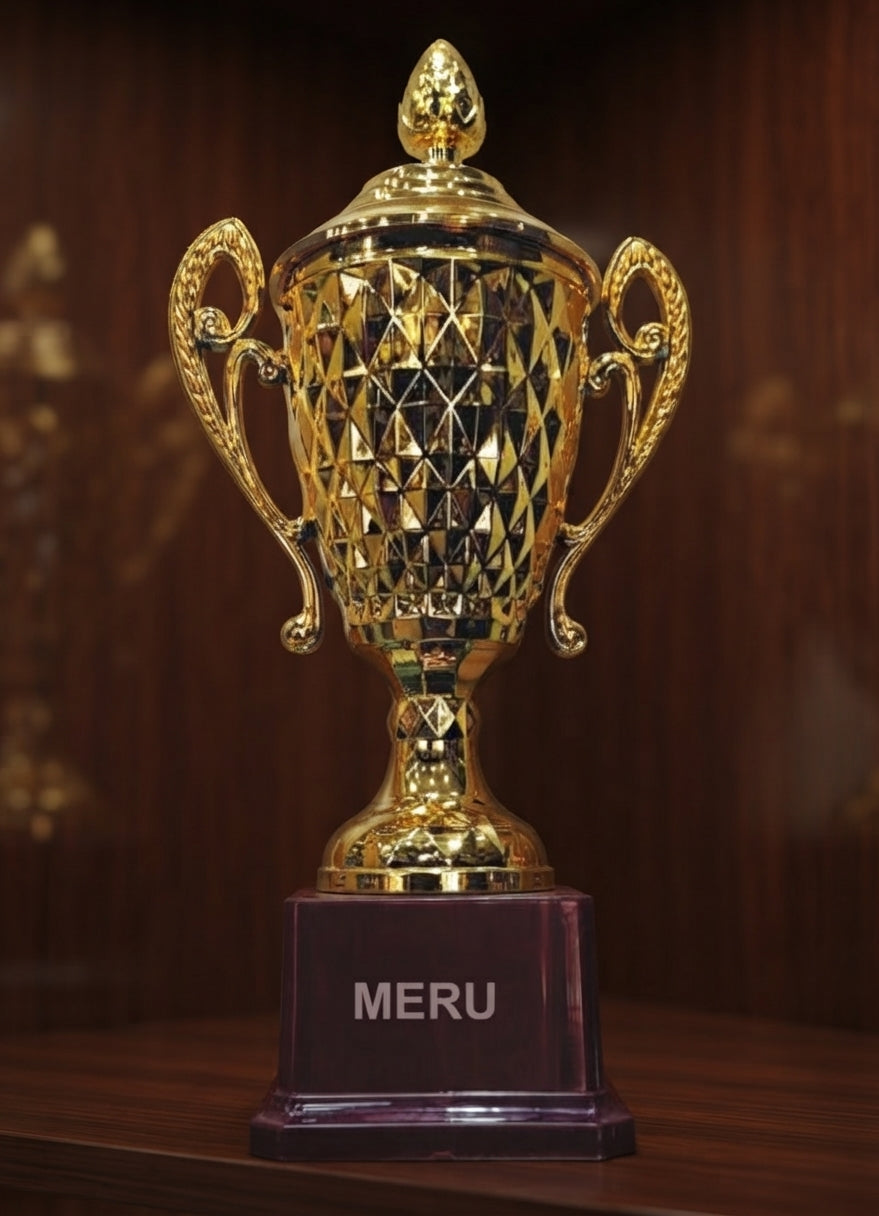 Fibre Trophy Corporate Trophy and Athletic Medals gold trophy cup 247 alternate view - Meru Trophy