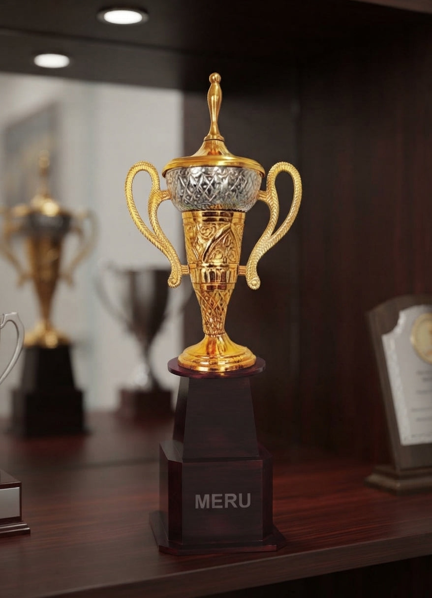 Elegant Metal Trophy Award 960 alternate view - Meru Trophy