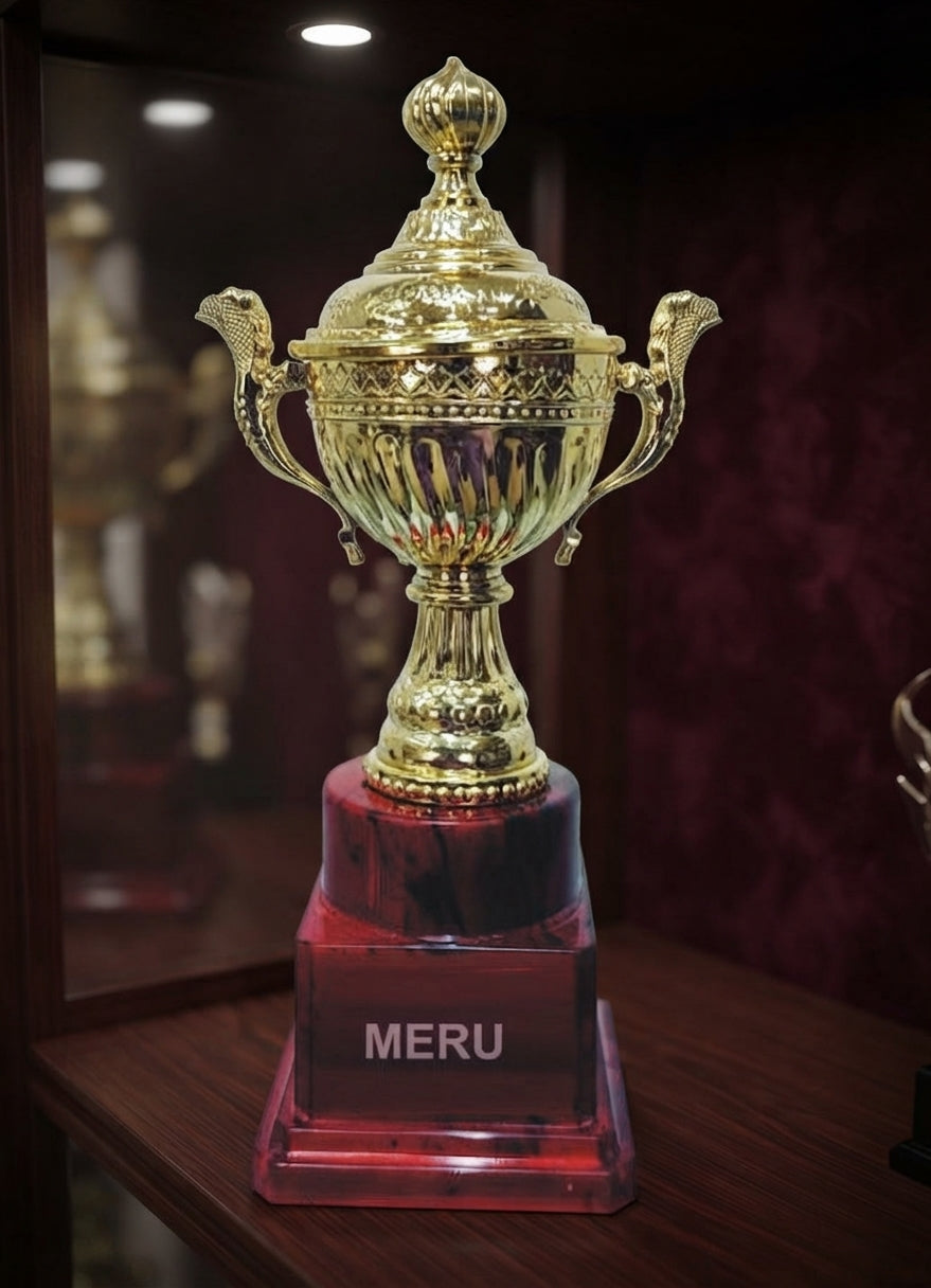 Gold Trophy Cup Award  7515 alternate view - Meru Trophy