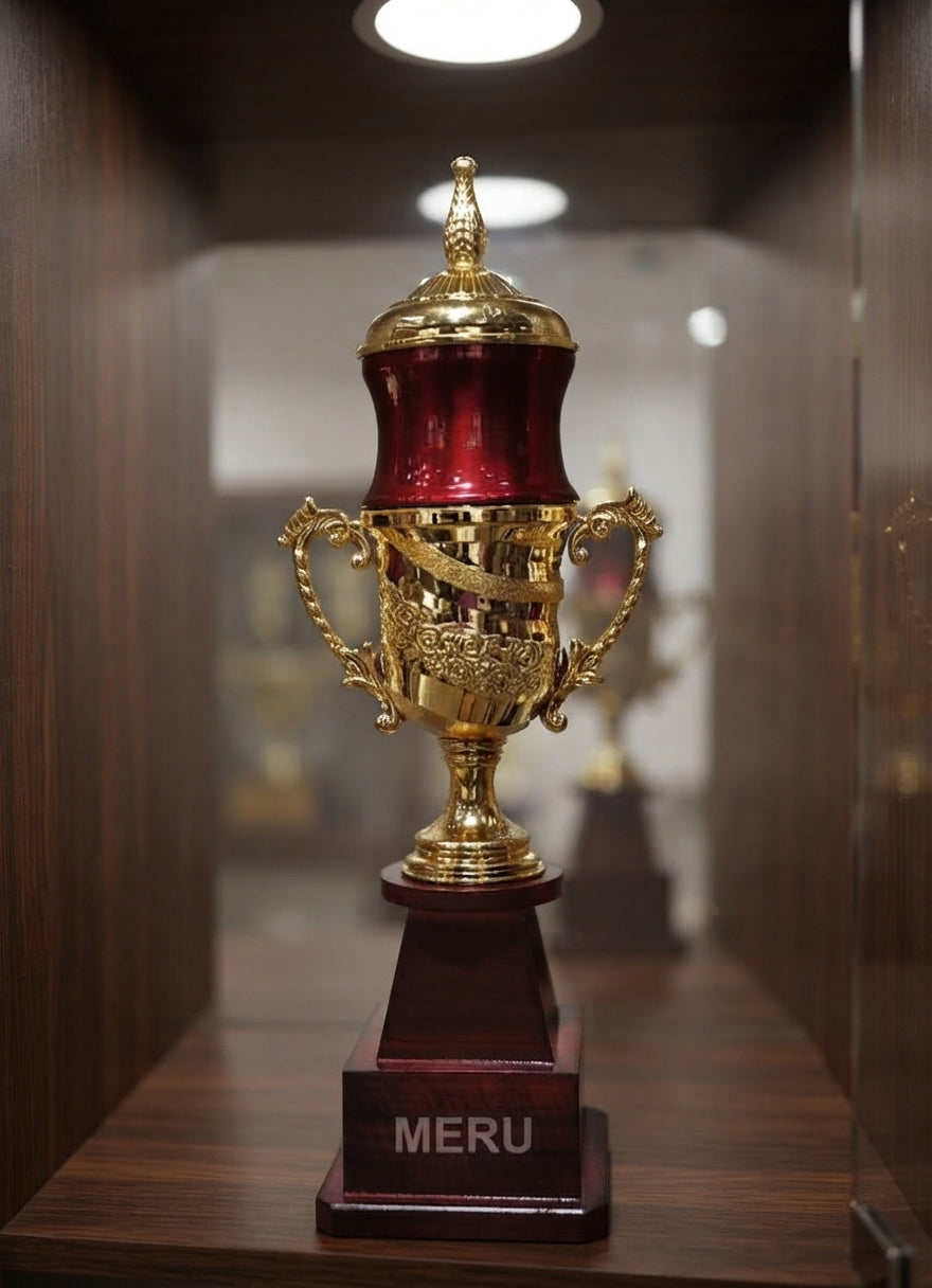 Elegant Award Trophy with Gold Accents 401 alternate view - Meru Trophy