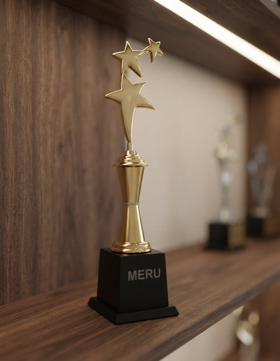 Star Award Trophies and Corporate Trophies 501 alternate view - Meru Trophy