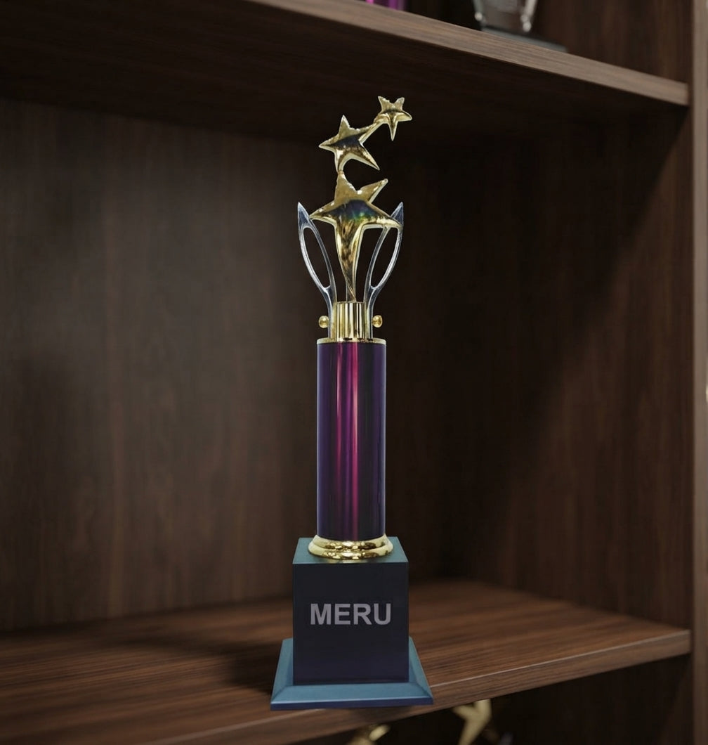 Premium Star Trophy 584 alternate view - Meru Trophy