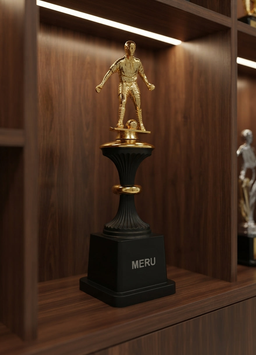 Gold Football Trophy - Sports Award and Recognition  6013 alternate view - Meru Trophy
