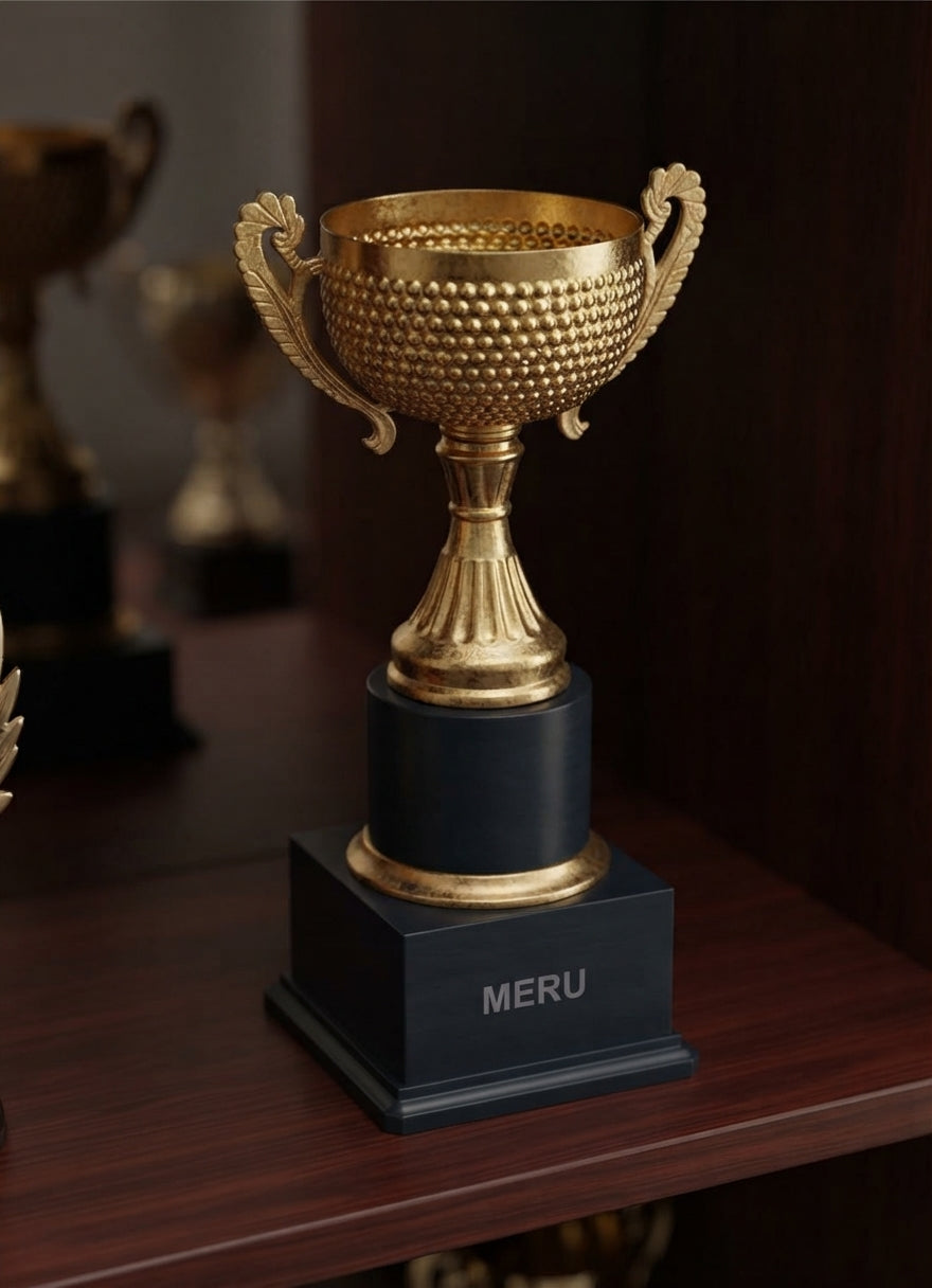 Gold Metal Award Trophy 274 alternate view - Meru Trophy