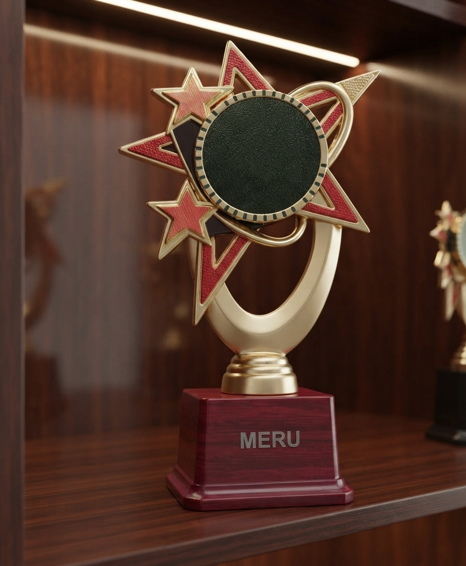 Star Achievement Award Trophy 172 alternate view - Meru Trophy