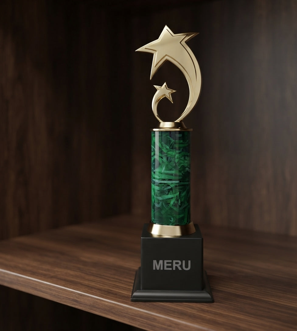 Premium Star Trophy Corporate Awards premium gold star trophy 378 1 alternate view - Meru Trophy