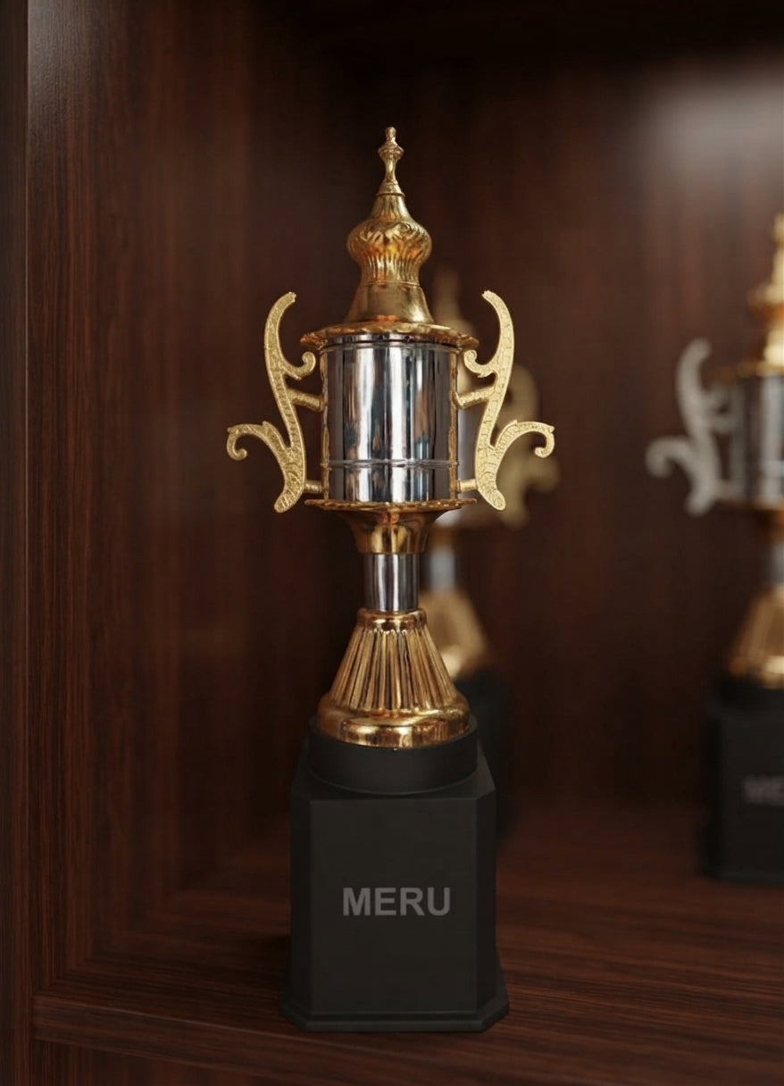 Gold and Silver Achievement Trophy 916 alternate view - Meru Trophy