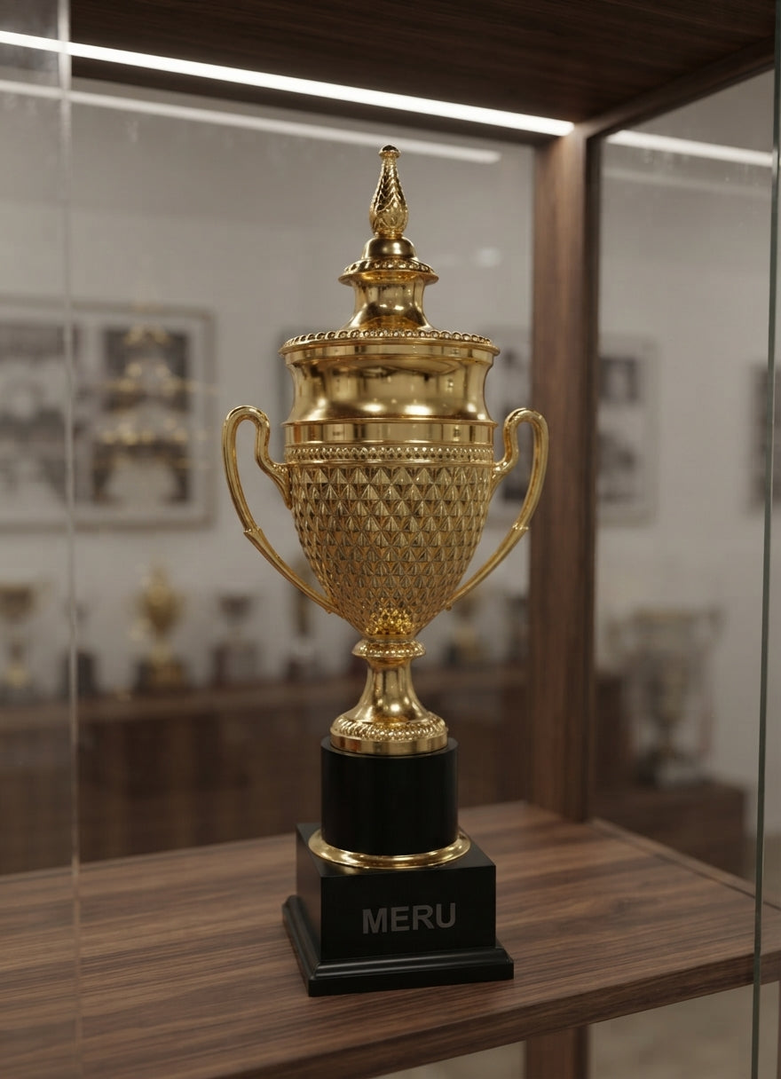 Metal Corporate Trophies Awards gold metal award trophy 310 alternate view - Meru Trophy