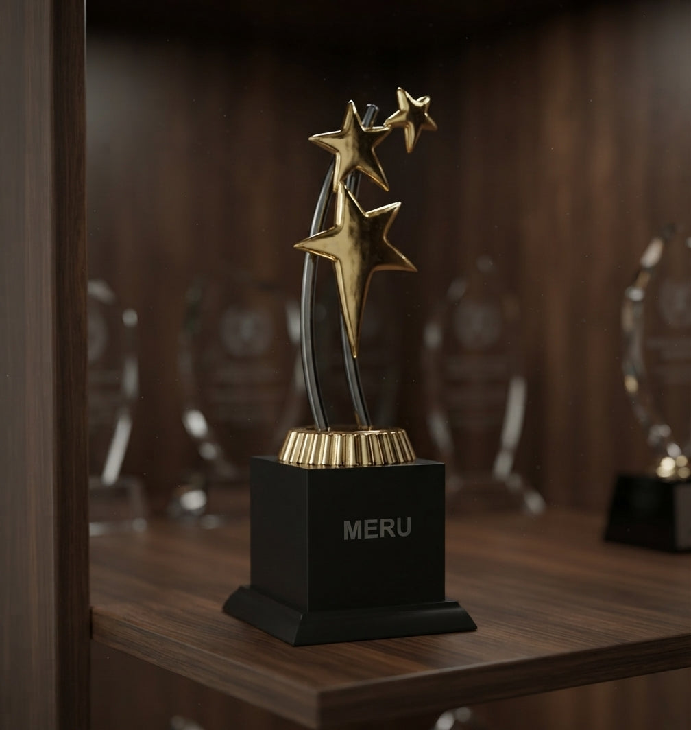 Star Trophy Recognition Awards 347 alternate view - Meru Trophy