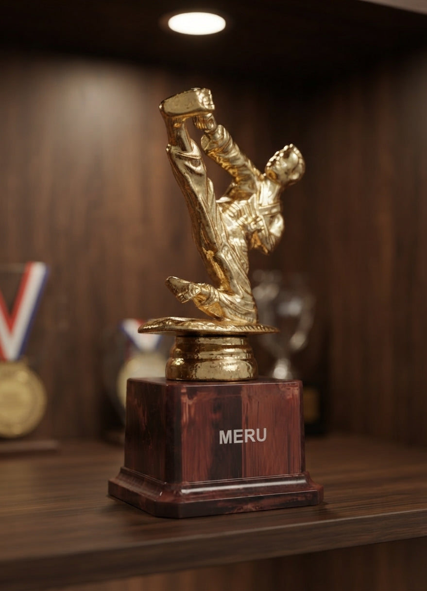 Gold Martial Arts Trophy Sports Awards 315 - Fiber Trophies Online alternate view - Meru Trophy