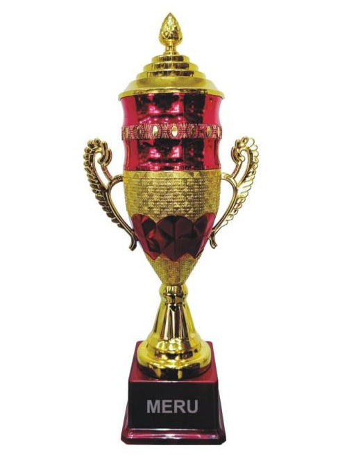 Elegant Fibre Trophy Award