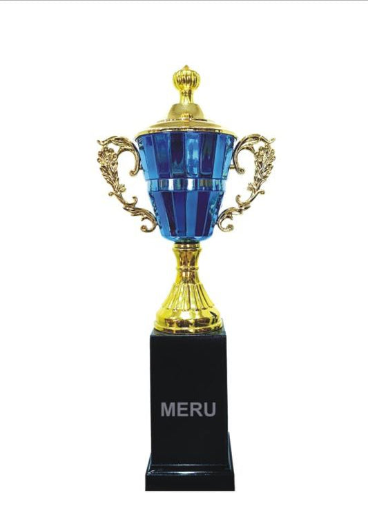 Blue and gold fiber trophy; ideal for corporate awards and athletic recognition.