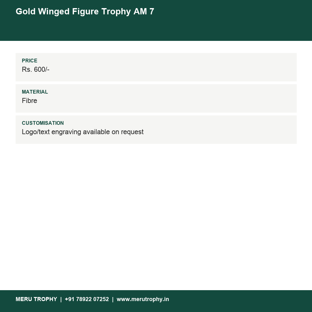 Gold Winged Figure Trophy AM 7 details - Meru Trophy