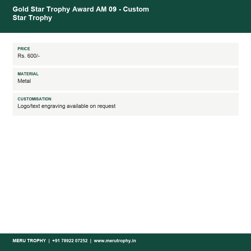 Gold Star Trophy Award AM 09 - Custom Star Trophy details - Meru Trophy