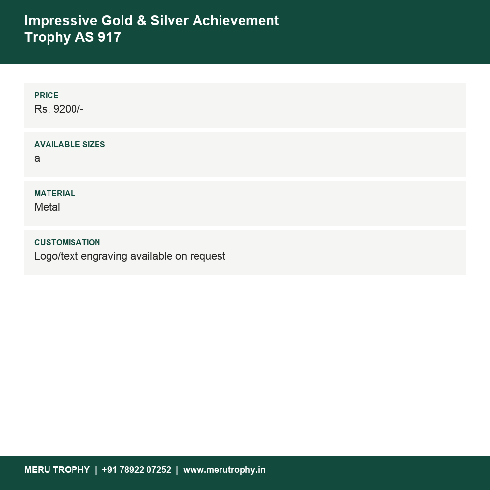Impressive Gold & Silver Achievement Trophy AS 917 details - Meru Trophy