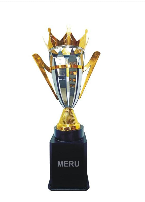 Silver and gold metal trophy with a black base; ideal for sports awards and corporate recognition.