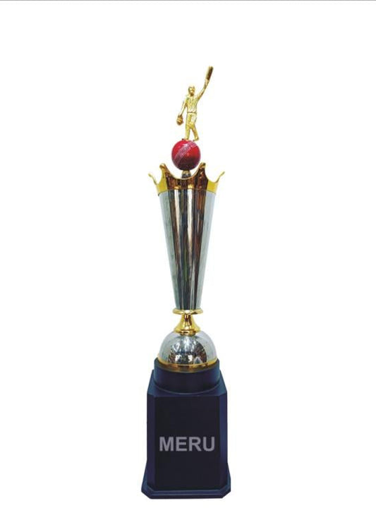 Silver and gold cricketer figurine on a cricket ball trophy - perfect for sports awards.