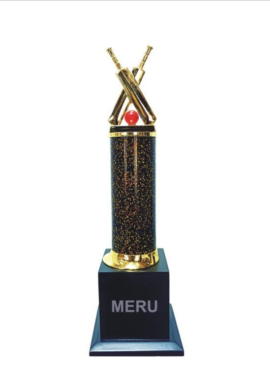 Cricket trophy with crossed bats and ball; perfect for sports awards.