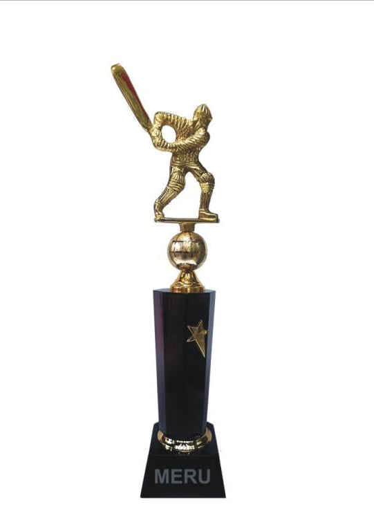 Gold-colored cricket batsman trophy; a symbol of sporting excellence.
