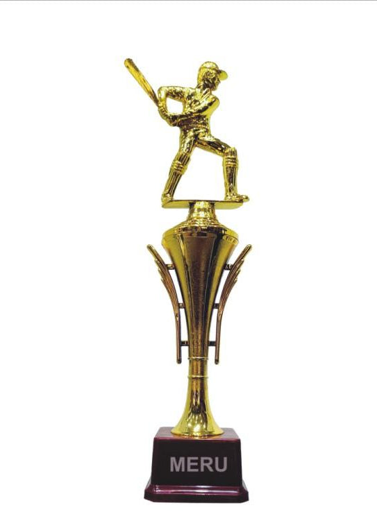 Golden Cricket Batsman Fiber Trophy HV107
