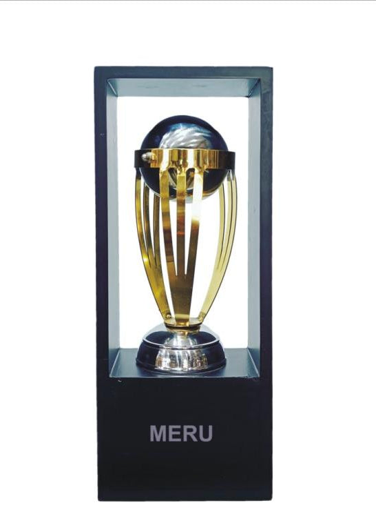 Elegant metal trophy design; ideal for cricket awards and sports achievements.