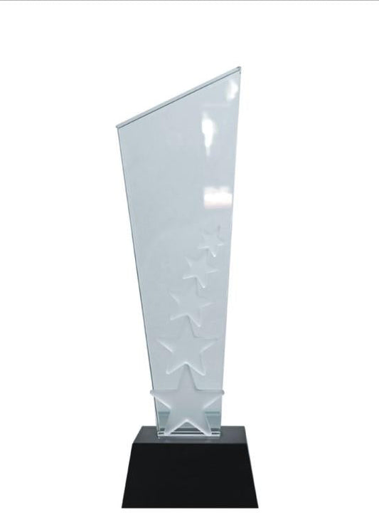 Elegant crystal trophy with frosted stars; perfect for awards ceremonies.