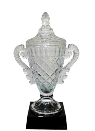 Elegant crystal trophy award; perfect for corporate or academic recognition.