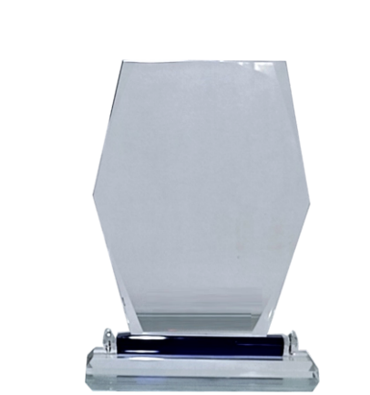 Elegant crystal trophy showcasing a unique design.