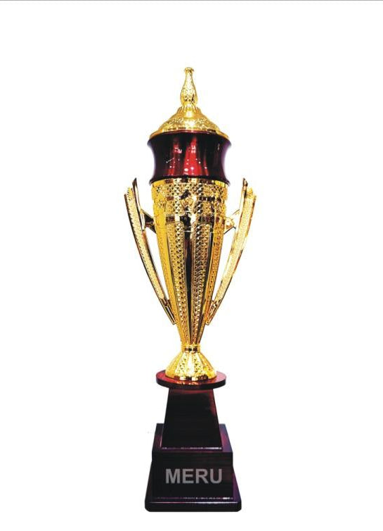 Gold and maroon Fibre Trophy award; perfect for corporate recognition.