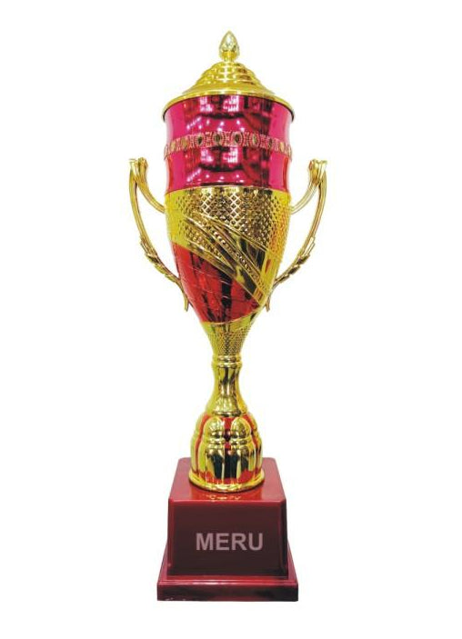 Elegant Cup Trophy - Fiber Trophy Design