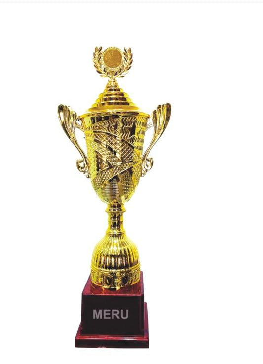 Gold award trophy on a maroon base 1595