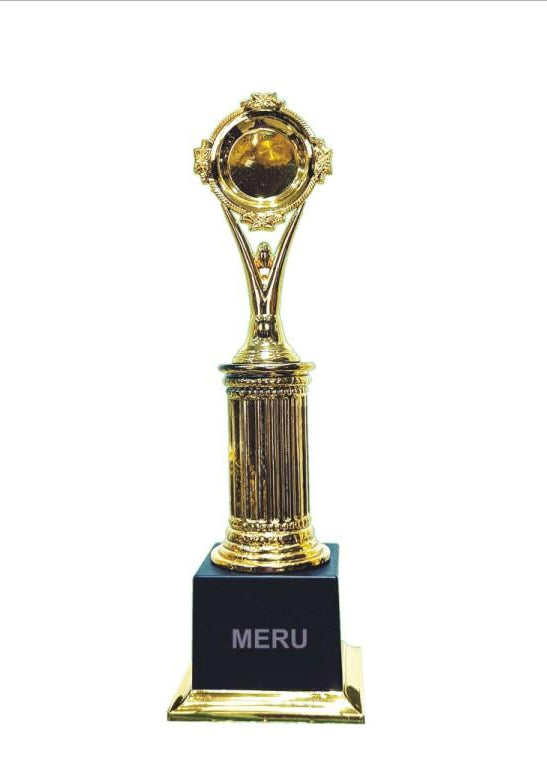 Gold Award Trophy - Custom Award