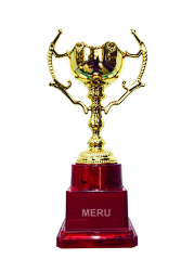 Gold and maroon fiber trophy; ideal for awards and recognition ceremonies.