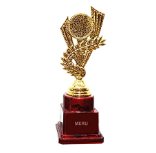 Gold and maroon fiber trophy design for awards and recognition.