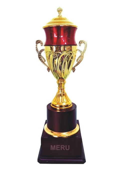Gold and Maroon Metal Trophy - Award Ceremony